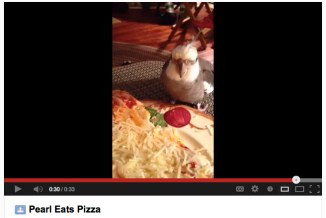 Pearl Eats Pizza Movie