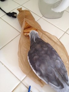 Fits me like a glove, in fact.