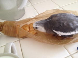 It's like this package was made just for me!