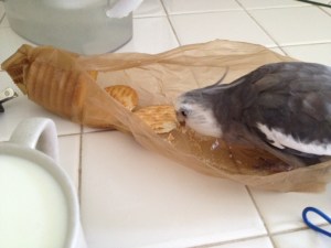 Its contents seem to be made for me too!