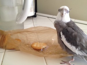 That was fun - can I have another go, Mom?