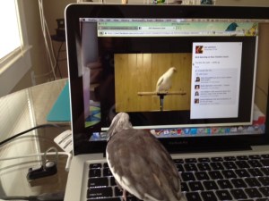 Ooooh. A catchy number! That dance teacher's not bad either!