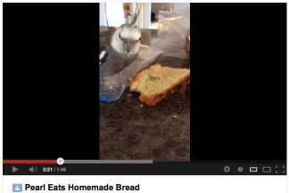 PearlEatsHomemadeBread