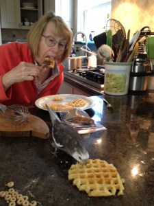 Project complete, a Grandma and her assistant enjoy a fresh waffle breakfast together.