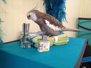 Still quite pretty, though.