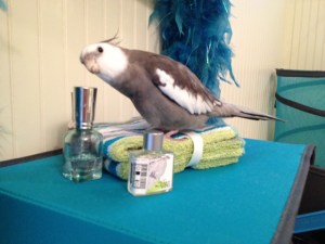 Very pretty from this angle too.