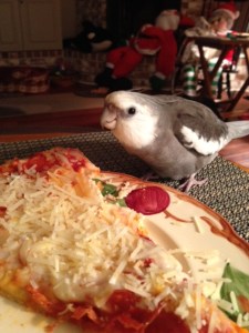 Mom isn't looking. I hope she wasn't planning to eat that.