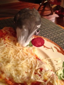 The "full beak immersion" method really helps me enjoy it the most.