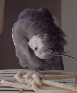 No? How about this, then.