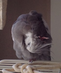 She sure is concentrating (dense).