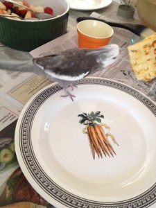 Smells good from here.