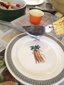 Hand delivery - this is a quality establishment!