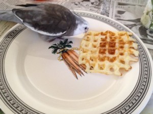 Tastes just as good as I remember from last time.