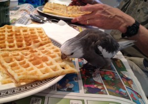 Quality is consistent throughout the batch.