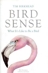 BirdSense