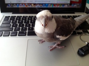 Here is a move called "hands off it's mine!"