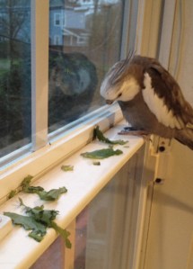 Some diners like to give a blessing before the meal. Others prefer to wait til, well, after.