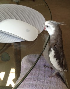 The stage entry is very important to set the right tone. This move says "laptop I must get to you NOW!"