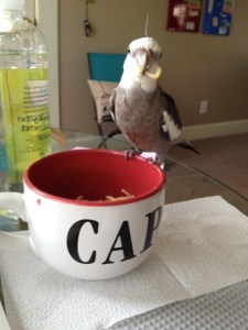 Whoa! Caught a live one, Mom!