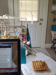 Maintaining line-of-sight with the waffle at all times is very important to achieve the fastest possible arrival.