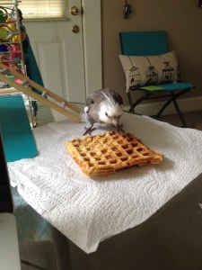 Once the proper preparation is confirmed, it is important to adopt the proper waffle-consumption stance.