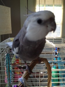 Even really really up close the prettiness factor remains at 5-star level!