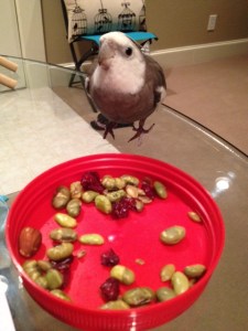 Well let me just get a closer look....