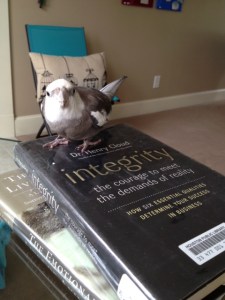 Oh boy. A hardback with a shiny plastic covering.