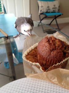 Excellent. Muffin part's all yours, Mom.