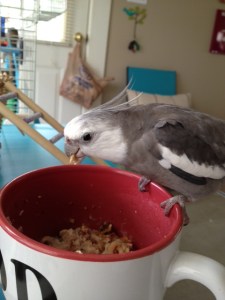 Well this is interesting. 