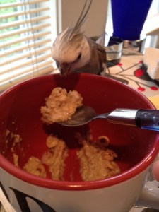 Food does taste better when it is spoon-fed.