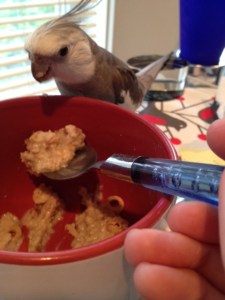 Awww. Look at that! Mommy is offering to spoon feed me! 