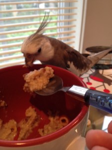 Whatever this is, it is delicious.