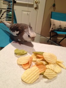 Oh. Interesting! A pile of things with some green things in it.