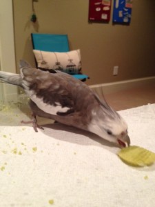 Maintains crunchiness in motion and at a distance - a good sign.