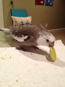 Quite crunchy and delicious up close too.