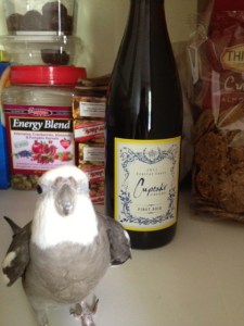 As long as there is the proper emphasis on the real star here.