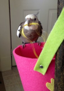 Next, select a handy prop.