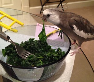 Tastes like houseplant too.