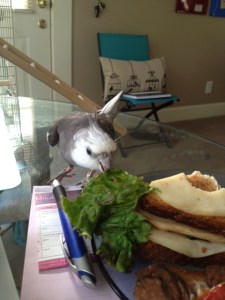 Oh yes. This is delicious.