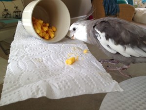 Oh yes. I remember these. These are very tasty and very crunchy. I'll have some.