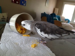 Hmmm. Yes. The crunch is the same - so is the texture - the consistency - and the flavor. Definitely the same.