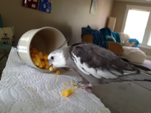 She still hasn't moved - I'll just consume my portion right here.