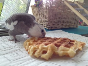 Mmmmmm. Mine. All MINE.