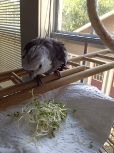 Mom. Seriously? What is it?