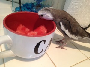 Yup. That looks delicious. Definitely worth the effort.