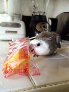 Well I'll just vanquish it for her and then we can split the spoils.