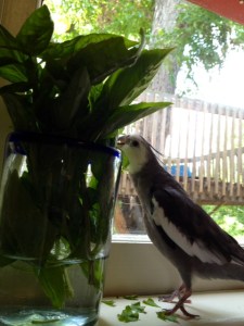 And she's not even looking my way!