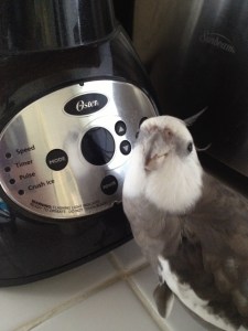 Look, Mom! Cupid finally found me!