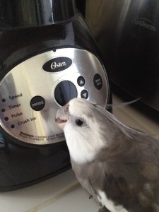 Oh my goodness! Pretty!!